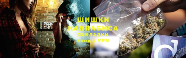 прущая мука Ельня