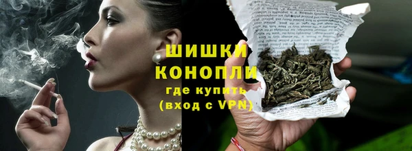 PSILOCYBIN Осташков