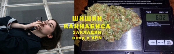 PSILOCYBIN Осташков