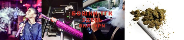 PSILOCYBIN Осташков