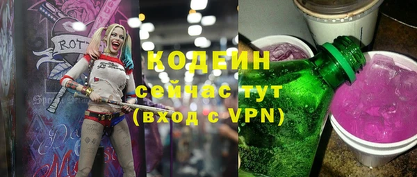 МДПВ Киселёвск