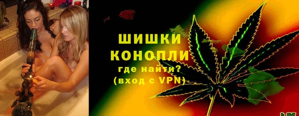 ПСИЛОЦИБИНОВЫЕ ГРИБЫ Кирс