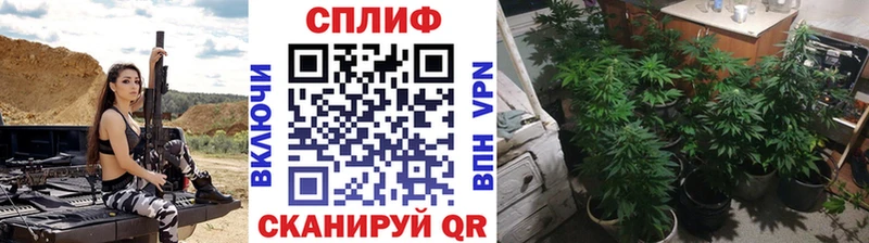 где купить наркотик  ОМГ ОМГ ССЫЛКА  Канабис индика  Рудня 